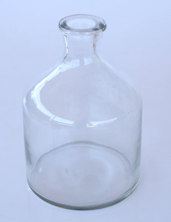 Small Clear Glass Herbal Vase